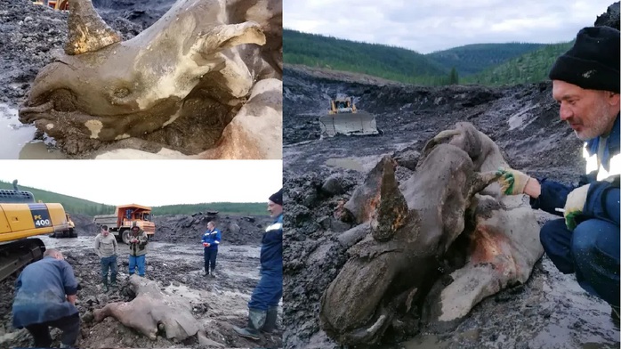 Đào vàng ở Siberia, nhóm thợ mỏ phát hiện “xác ướp quái vật"- Ảnh 1. Đào vàng ở Siberia, nhóm thợ mỏ phát hiện “xác ướp quái vật"- Ảnh 1.