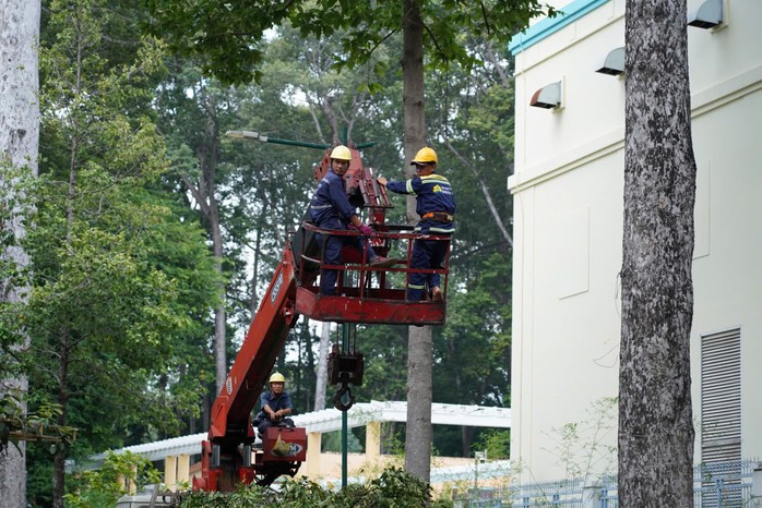 Vụ gãy nhánh cây khiến 5 người thương vong: "Nếu chẳng may, tôi đã là nạn nhân"- Ảnh 3. Vụ gãy nhánh cây khiến 5 người thương vong: "Nếu chẳng may, tôi đã là nạn nhân"- Ảnh 3.