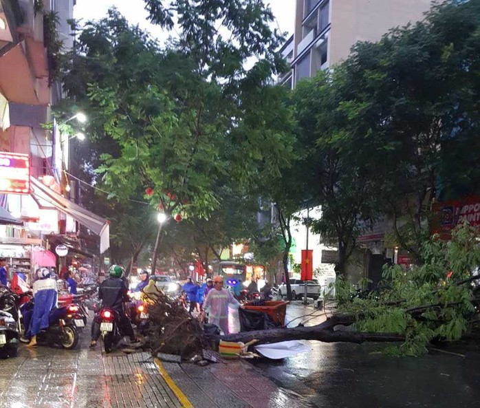 TP HCM: Mưa như trút nước, có cây ngã và nhiều tuyến đường ngập sâu- Ảnh 2. TP HCM: Mưa như trút nước, có cây ngã và nhiều tuyến đường ngập sâu- Ảnh 2.