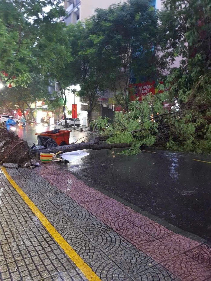 TP HCM: Mưa như trút nước, có cây ngã và nhiều tuyến đường ngập sâu- Ảnh 5. TP HCM: Mưa như trút nước, có cây ngã và nhiều tuyến đường ngập sâu- Ảnh 5.