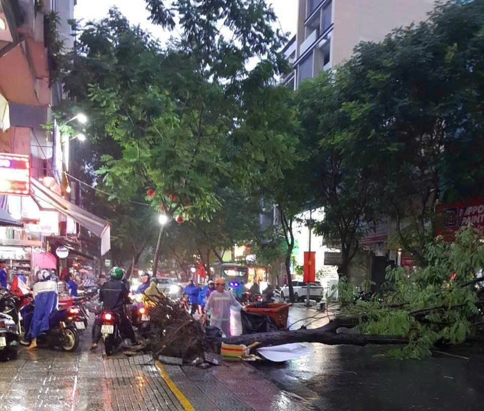 TP HCM: Mưa như trút nước, có cây ngã và nhiều tuyến đường ngập sâu- Ảnh 4. TP HCM: Mưa như trút nước, có cây ngã và nhiều tuyến đường ngập sâu- Ảnh 4.