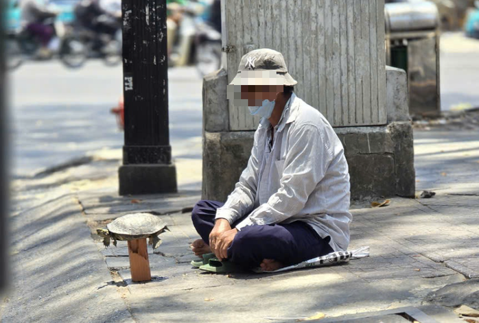 Mua bán rùa ở đường phố để phóng sanh, coi chừng lãnh án tù- Ảnh 1. Mua bán rùa ở đường phố để phóng sanh, coi chừng lãnh án tù- Ảnh 1.