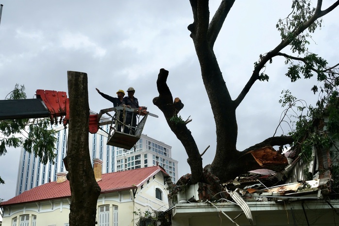 Dầm mình trong mưa hỗ trợ Hải Phòng dọn dẹp cây xanh gãy đổ la liệt sau bão số 3- Ảnh 8. Dầm mình trong mưa hỗ trợ Hải Phòng dọn dẹp cây xanh gãy đổ la liệt sau bão số 3- Ảnh 8.