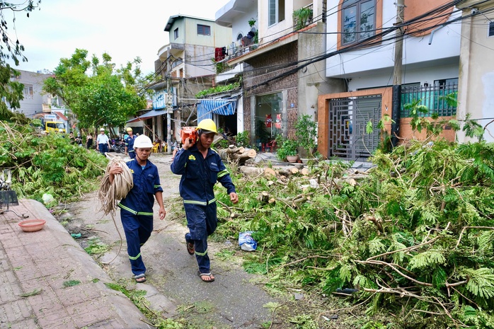 Dầm mình trong mưa hỗ trợ Hải Phòng dọn dẹp cây xanh gãy đổ la liệt sau bão số 3- Ảnh 6. Dầm mình trong mưa hỗ trợ Hải Phòng dọn dẹp cây xanh gãy đổ la liệt sau bão số 3- Ảnh 6.