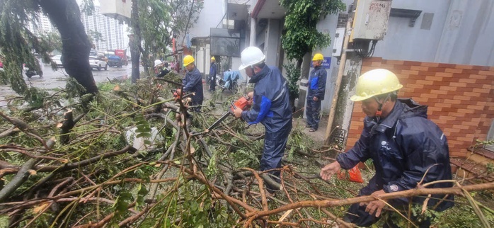 Dầm mình trong mưa hỗ trợ Hải Phòng dọn dẹp cây xanh gãy đổ la liệt sau bão số 3- Ảnh 1. Dầm mình trong mưa hỗ trợ Hải Phòng dọn dẹp cây xanh gãy đổ la liệt sau bão số 3- Ảnh 1.
