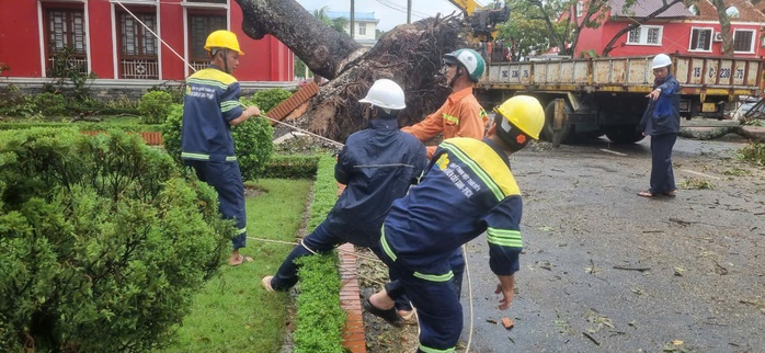 Dầm mình trong mưa hỗ trợ Hải Phòng dọn dẹp cây xanh gãy đổ la liệt sau bão số 3- Ảnh 9. Dầm mình trong mưa hỗ trợ Hải Phòng dọn dẹp cây xanh gãy đổ la liệt sau bão số 3- Ảnh 9.