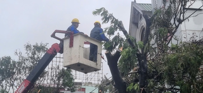 Dầm mình trong mưa hỗ trợ Hải Phòng dọn dẹp cây xanh gãy đổ la liệt sau bão số 3- Ảnh 4. Dầm mình trong mưa hỗ trợ Hải Phòng dọn dẹp cây xanh gãy đổ la liệt sau bão số 3- Ảnh 4.