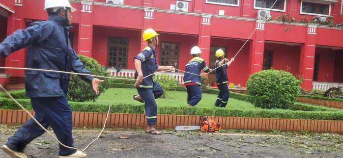 Dầm mình trong mưa hỗ trợ Hải Phòng dọn dẹp cây xanh gãy đổ la liệt sau bão số 3- Ảnh 10. Dầm mình trong mưa hỗ trợ Hải Phòng dọn dẹp cây xanh gãy đổ la liệt sau bão số 3- Ảnh 10.
