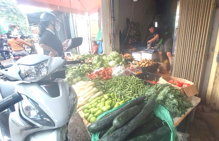 Giật mình giá rau, bí xanh đắt gấp đôi, thì là 250 ngàn đồng/kg dù nguồn cung bảo đảm- Ảnh 1. Giật mình giá rau, bí xanh đắt gấp đôi, thì là 250 ngàn đồng/kg dù nguồn cung bảo đảm- Ảnh 1.