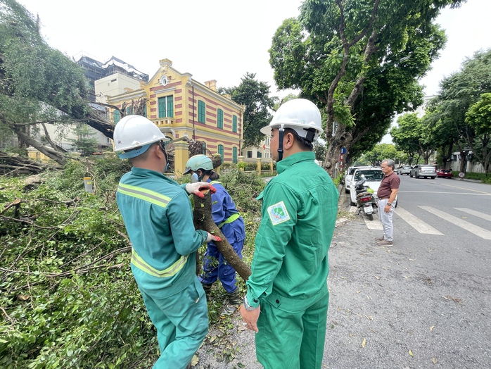 VIDEO: Đà Nẵng hỗ trợ Hà Nội xử lý cây xanh gãy đổ sau bão số 3- Ảnh 1. VIDEO: Đà Nẵng hỗ trợ Hà Nội xử lý cây xanh gãy đổ sau bão số 3- Ảnh 1.