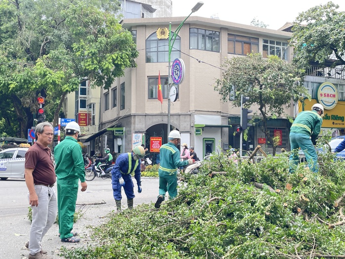 VIDEO: Đà Nẵng hỗ trợ Hà Nội xử lý cây xanh gãy đổ sau bão số 3- Ảnh 7. VIDEO: Đà Nẵng hỗ trợ Hà Nội xử lý cây xanh gãy đổ sau bão số 3- Ảnh 7.