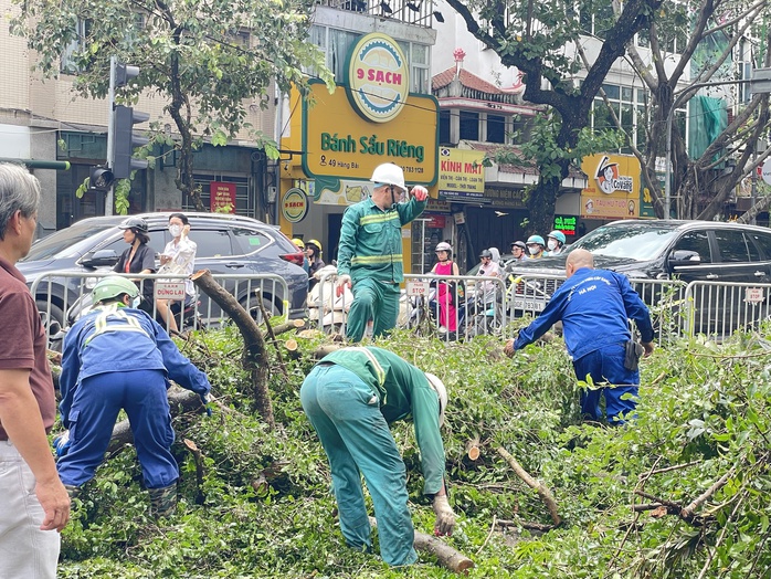 VIDEO: Đà Nẵng hỗ trợ Hà Nội xử lý cây xanh gãy đổ sau bão số 3- Ảnh 5. VIDEO: Đà Nẵng hỗ trợ Hà Nội xử lý cây xanh gãy đổ sau bão số 3- Ảnh 5.