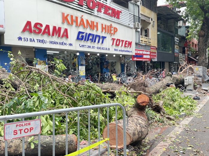 VIDEO: Đà Nẵng hỗ trợ Hà Nội xử lý cây xanh gãy đổ sau bão số 3- Ảnh 19. VIDEO: Đà Nẵng hỗ trợ Hà Nội xử lý cây xanh gãy đổ sau bão số 3- Ảnh 19.