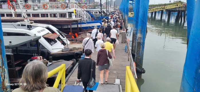 Quảng Ninh mở chiến dịch làm sạch vịnh Hạ Long trong 3 ngày- Ảnh 1. Quảng Ninh mở chiến dịch làm sạch vịnh Hạ Long trong 3 ngày- Ảnh 1.