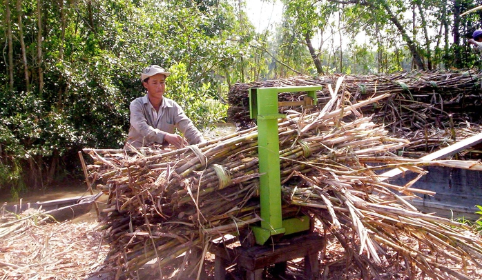 Vị đắng… mía đường- Ảnh 5. Vị đắng… mía đường- Ảnh 5.