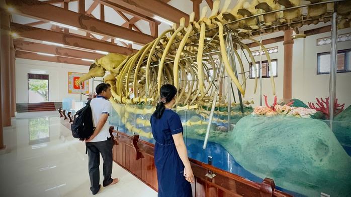 Chiêm ngưỡng 2 bộ xương cá Ông được xác lập kỷ lục Việt Nam- Ảnh 3.