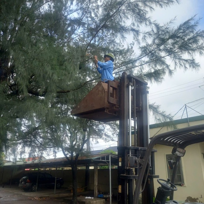 Người dân miền Trung chạy đua chống bão số 4- Ảnh 4. Người dân miền Trung chạy đua chống bão số 4- Ảnh 4.