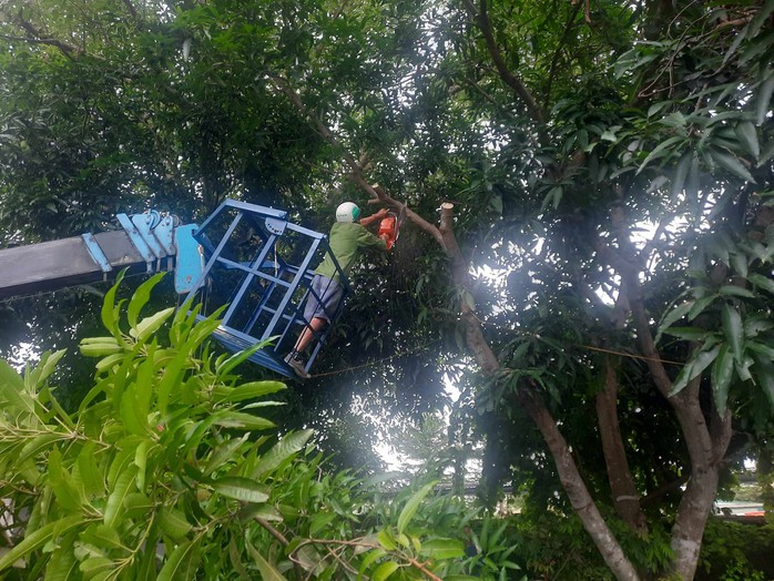 Người dân miền Trung chạy đua chống bão số 4- Ảnh 5. Người dân miền Trung chạy đua chống bão số 4- Ảnh 5.