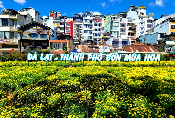 Festival hoa Đà Lạt năm nay sẽ có nhiều điểm mới - Ảnh 1. Festival hoa Đà Lạt năm nay sẽ có nhiều điểm mới - Ảnh 1.