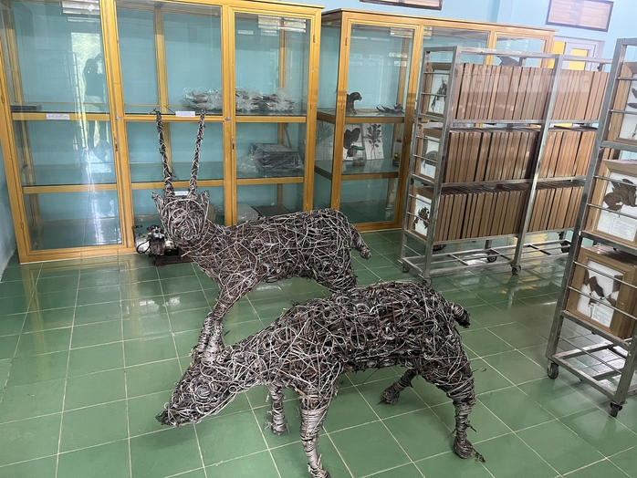 ĐỘC LẠ: Ngắm nhìn "kỳ lân châu Á" được tái hiện từ 5.000 dây bẫy thú rừng- Ảnh 2. ĐỘC LẠ: Ngắm nhìn "kỳ lân châu Á" được tái hiện từ 5.000 dây bẫy thú rừng- Ảnh 2.