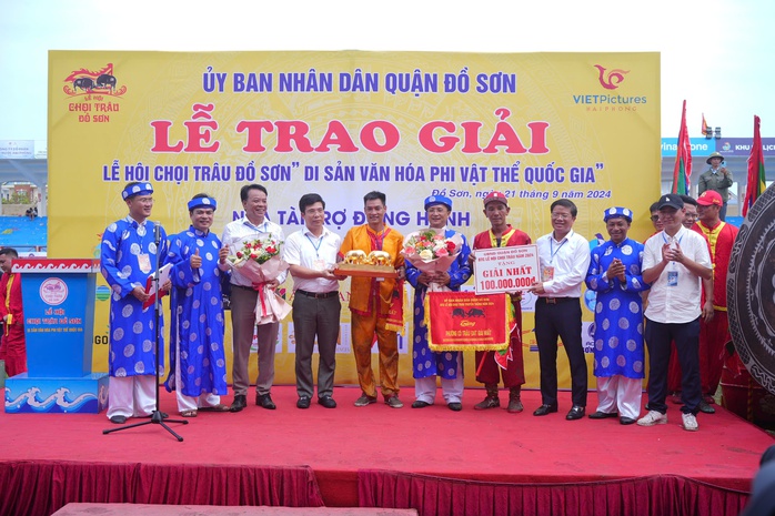 "Ông trâu" số 04 giành chức vô địch Lễ hội chọi trâu Đồ Sơn 2024- Ảnh 2. "Ông trâu" số 04 giành chức vô địch Lễ hội chọi trâu Đồ Sơn 2024- Ảnh 2.