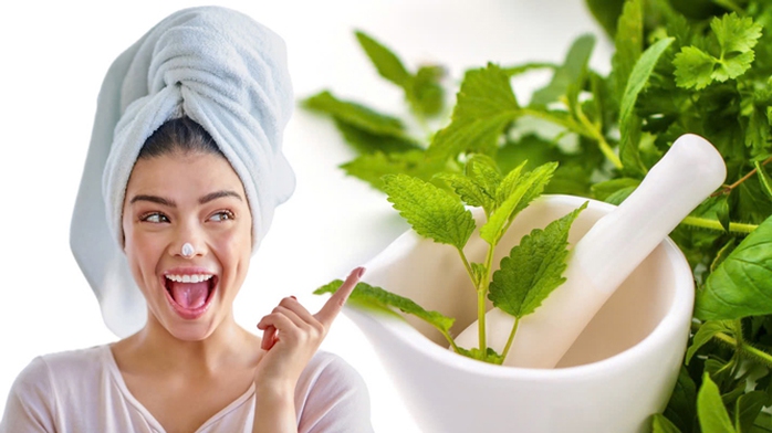 Nếu biết cách sử dụng, thảo dược mang lại hiệu quả cao trong chăm sóc da Minh họa: LIÊN ANH Nếu biết cách sử dụng, thảo dược mang lại hiệu quả cao trong chăm sóc da Minh họa: LIÊN ANH