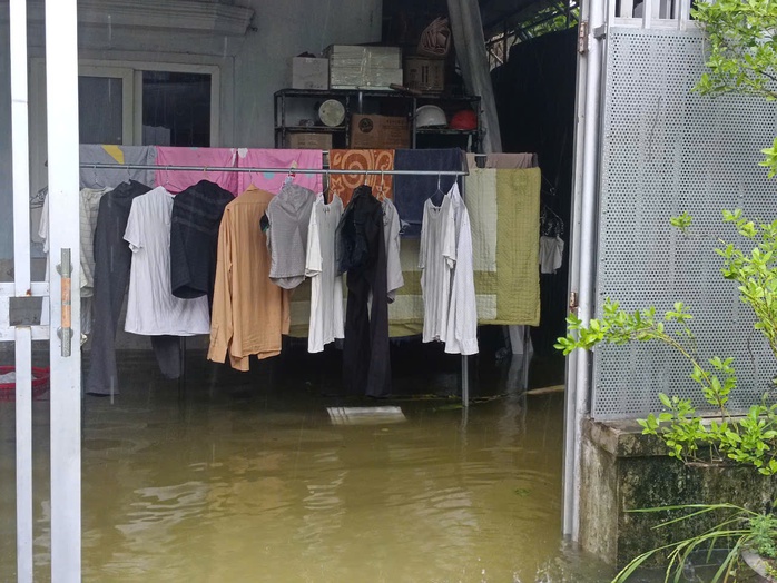 VIDEO: Mưa lớn, hơn 9.000 con gà của một hộ dân chết ngạt- Ảnh 5. VIDEO: Mưa lớn, hơn 9.000 con gà của một hộ dân chết ngạt- Ảnh 5.