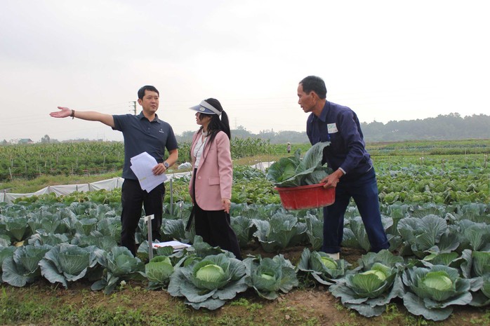 Cảnh báo lừa đảo lao động thời vụ sang Hàn Quốc- Ảnh 1. Cảnh báo lừa đảo lao động thời vụ sang Hàn Quốc- Ảnh 1.