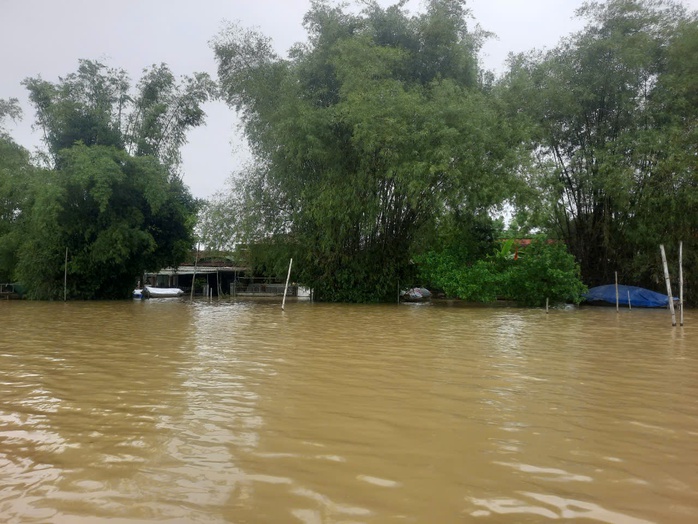 Mưa ngớt, nước lũ trên các sông ở Hà Tĩnh rút nhanh- Ảnh 8. Mưa ngớt, nước lũ trên các sông ở Hà Tĩnh rút nhanh- Ảnh 8.