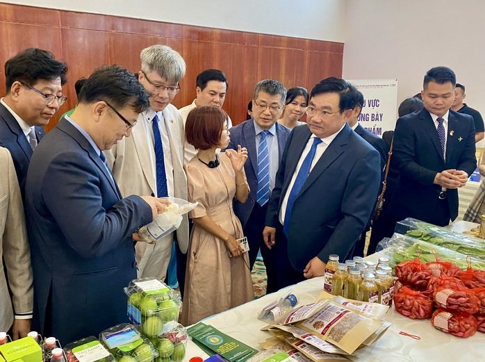 Cơ hội xuất khẩu nông sản sạch từ khu vực Nam Trung Bộ sang Hàn Quốc- Ảnh 2. Cơ hội xuất khẩu nông sản sạch từ khu vực Nam Trung Bộ sang Hàn Quốc- Ảnh 2.