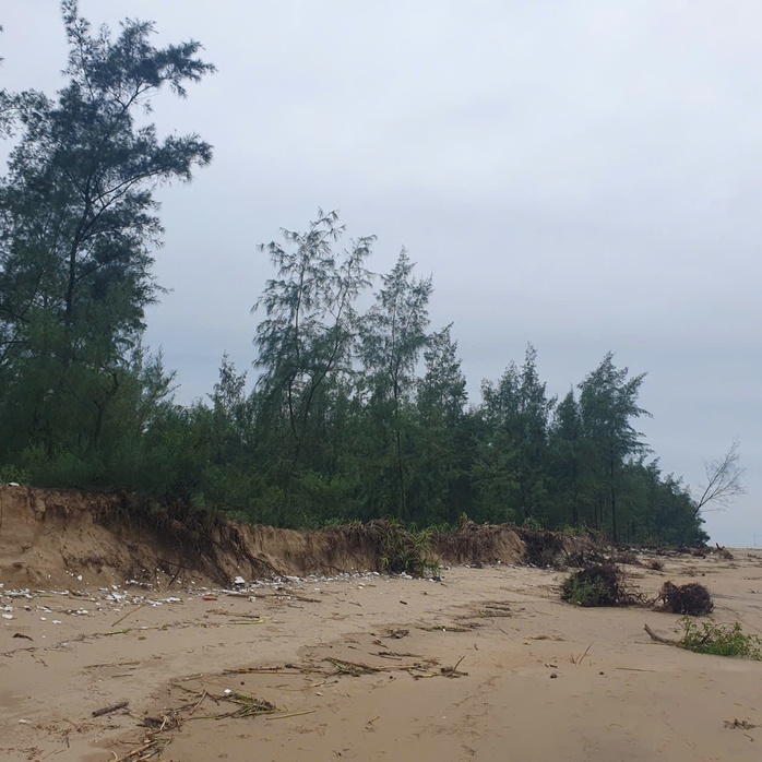 Người dân bất an khi bờ biển ở Hà Tĩnh bị sạt lở nghiêm trọng- Ảnh 10. Người dân bất an khi bờ biển ở Hà Tĩnh bị sạt lở nghiêm trọng- Ảnh 10.