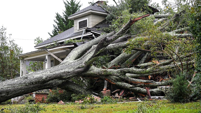 Cây sồi lớn đổ rạp ở Anderson, South Carolina Cây sồi lớn đổ rạp ở Anderson, South Carolina