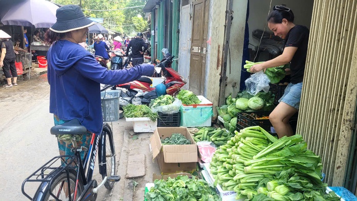 Người tiêu dùng ở Hà Nội ngóng ngày hết "giật mình" vì giá rau xanh - Ảnh 1. Người tiêu dùng ở Hà Nội ngóng ngày hết "giật mình" vì giá rau xanh - Ảnh 1.