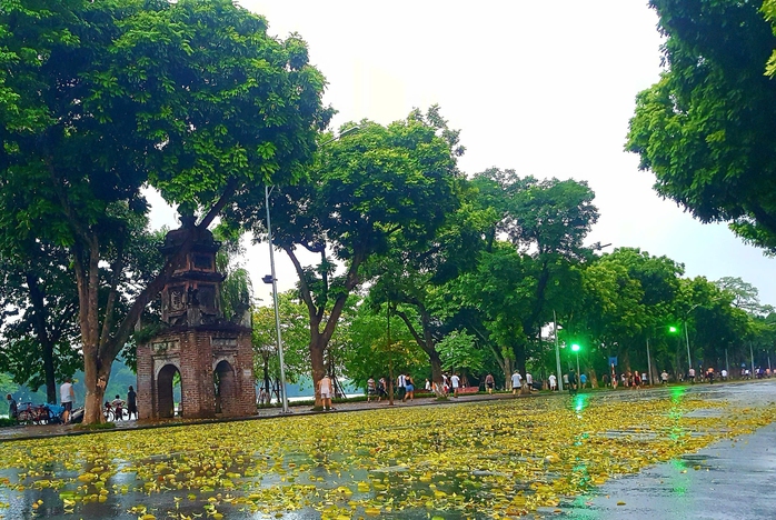 Thu liễm- Ảnh 3. Thu liễm- Ảnh 3.