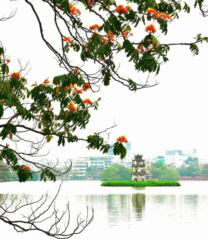 Thu liễm- Ảnh 1. Thu liễm- Ảnh 1.