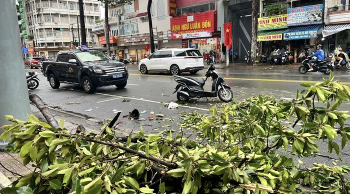 Nhánh cây rơi trên đường An Dương Vương, TP HCM: Một phụ nữ tử vong- Ảnh 1. Nhánh cây rơi trên đường An Dương Vương, TP HCM: Một phụ nữ tử vong- Ảnh 1.