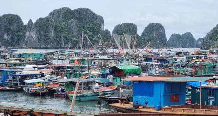 Hải Phòng, Quảng Ninh ra công điện khẩn phòng chống bão số 3- Ảnh 1. Hải Phòng, Quảng Ninh ra công điện khẩn phòng chống bão số 3- Ảnh 1.