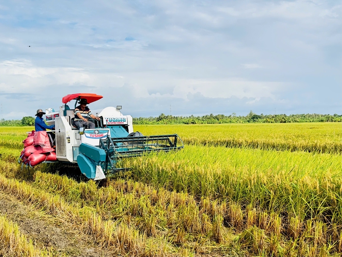Xuất khẩu gạo Việt Nam tiếp đà thuận lợi- Ảnh 1. Xuất khẩu gạo Việt Nam tiếp đà thuận lợi- Ảnh 1.