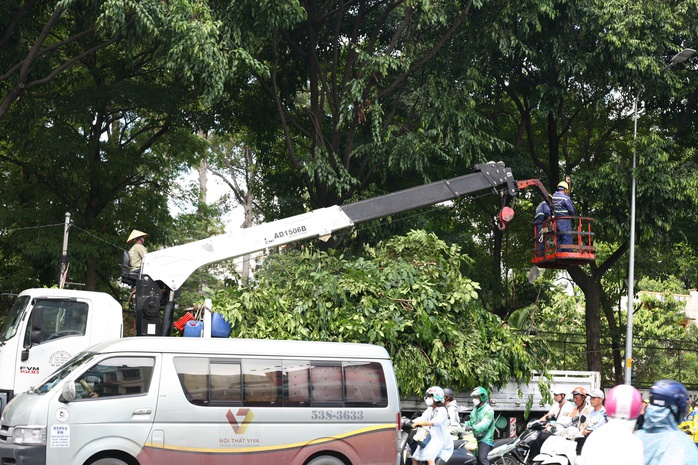 Sau nhiều sự cố, hàng loạt cây xanh lâu năm ở TP HCM bị cắt tỉa trơ trụi- Ảnh 13. Sau nhiều sự cố, hàng loạt cây xanh lâu năm ở TP HCM bị cắt tỉa trơ trụi- Ảnh 13.