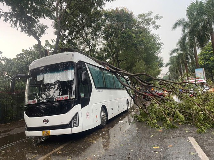 Hà Nội dông lớn và mưa to, cây đổ la liệt trước khi siêu bão Yagi đổ bộ- Ảnh 5. Hà Nội dông lớn và mưa to, cây đổ la liệt trước khi siêu bão Yagi đổ bộ- Ảnh 5.