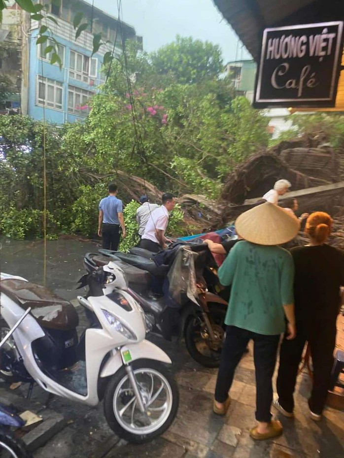 Hà Nội dông lớn và mưa to, cây đổ la liệt trước khi siêu bão Yagi đổ bộ- Ảnh 7. Hà Nội dông lớn và mưa to, cây đổ la liệt trước khi siêu bão Yagi đổ bộ- Ảnh 7.