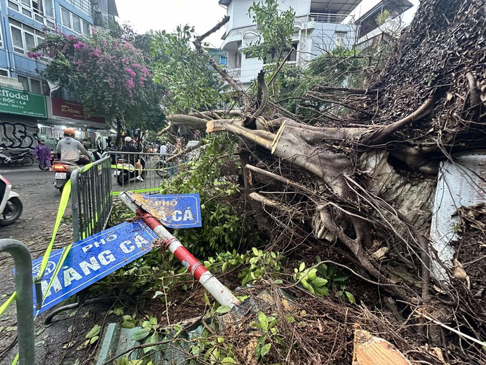 Hà Nội dông lớn và mưa to, cây đổ la liệt trước khi siêu bão Yagi đổ bộ- Ảnh 9. Hà Nội dông lớn và mưa to, cây đổ la liệt trước khi siêu bão Yagi đổ bộ- Ảnh 9.