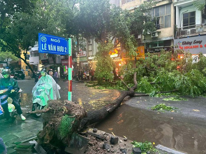 Hà Nội dông lớn và mưa to, cây đổ la liệt trước khi siêu bão Yagi đổ bộ- Ảnh 10. Hà Nội dông lớn và mưa to, cây đổ la liệt trước khi siêu bão Yagi đổ bộ- Ảnh 10.