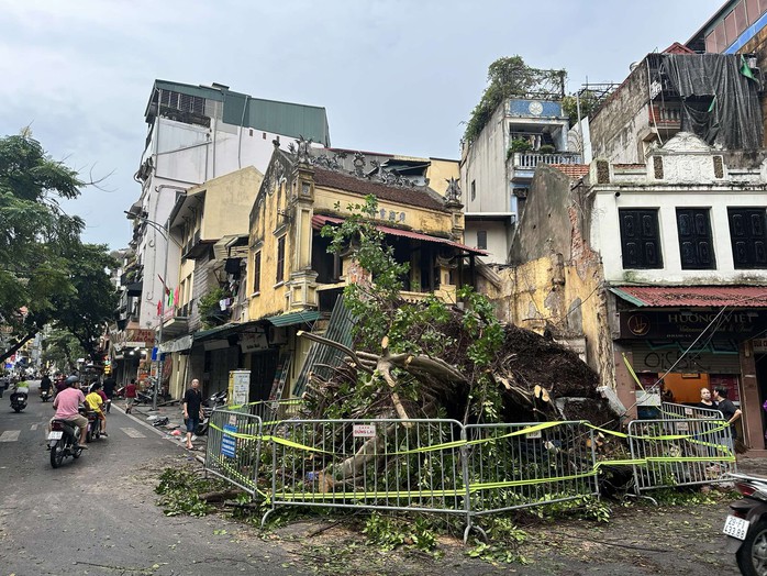 Hà Nội dông lớn và mưa to, cây đổ la liệt trước khi siêu bão Yagi đổ bộ- Ảnh 12. Hà Nội dông lớn và mưa to, cây đổ la liệt trước khi siêu bão Yagi đổ bộ- Ảnh 12.