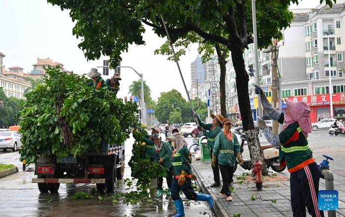 Workers cut redundant branches of trees ahead of the landfall of typhoon Yagi in Haikou, south China's Hainan Province, Sept. 5, 2024. The State Flood Control and Drought Relief Headquarters raised its emergency response for flood and typhoon prevention from level III to level II in Guangdong and Hainan provinces at 3 p.m. Thursday, as typhoon Yagi approaches. Yagi is expected to make landfall on Friday afternoon or evening somewhere between the city of Qionghai in Hainan and Maoming City in Guangdong. (Xinhua/Guo Cheng) Workers cut redundant branches of trees ahead of the landfall of typhoon Yagi in Haikou, south China's Hainan Province, Sept. 5, 2024. The State Flood Control and Drought Relief Headquarters raised its emergency response for flood and typhoon prevention from level III to level II in Guangdong and Hainan provinces at 3 p.m. Thursday, as typhoon Yagi approaches. Yagi is expected to make landfall on Friday afternoon or evening somewhere between the city of Qionghai in Hainan and Maoming City in Guangdong. (Xinhua/Guo Cheng)