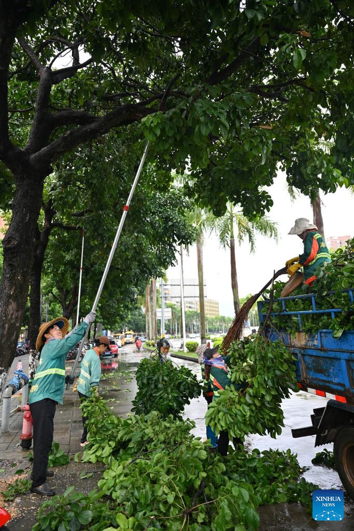 Workers cut redundant branches of trees ahead of the landfall of typhoon Yagi in Haikou, south China's Hainan Province, Sept. 5, 2024. The State Flood Control and Drought Relief Headquarters raised its emergency response for flood and typhoon prevention from level III to level II in Guangdong and Hainan provinces at 3 p.m. Thursday, as typhoon Yagi approaches. Yagi is expected to make landfall on Friday afternoon or evening somewhere between the city of Qionghai in Hainan and Maoming City in Guangdong. (Xinhua/Guo Cheng) Workers cut redundant branches of trees ahead of the landfall of typhoon Yagi in Haikou, south China's Hainan Province, Sept. 5, 2024. The State Flood Control and Drought Relief Headquarters raised its emergency response for flood and typhoon prevention from level III to level II in Guangdong and Hainan provinces at 3 p.m. Thursday, as typhoon Yagi approaches. Yagi is expected to make landfall on Friday afternoon or evening somewhere between the city of Qionghai in Hainan and Maoming City in Guangdong. (Xinhua/Guo Cheng)