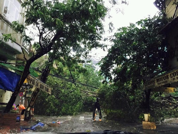 Bài học từ những cơn bão mạnh tương tự siêu bão Yagi từng đổ bộ Việt Nam- Ảnh 2. Bài học từ những cơn bão mạnh tương tự siêu bão Yagi từng đổ bộ Việt Nam- Ảnh 2.