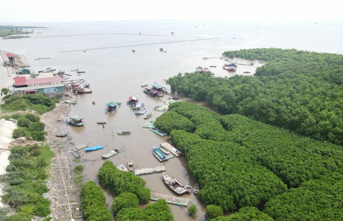 Ngư dân hối hả thu hoạch ngao chạy siêu bão Yagi- Ảnh 12. Ngư dân hối hả thu hoạch ngao chạy siêu bão Yagi- Ảnh 12.