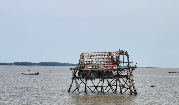 Ngư dân hối hả thu hoạch ngao chạy siêu bão Yagi- Ảnh 8. Ngư dân hối hả thu hoạch ngao chạy siêu bão Yagi- Ảnh 8.
