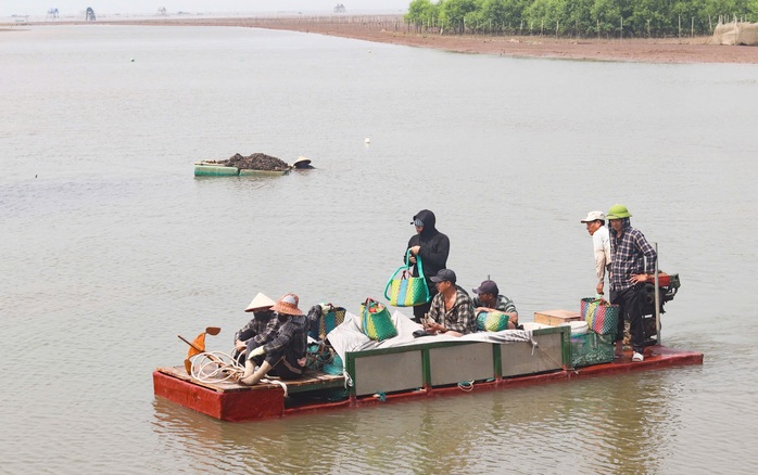 Ngư dân hối hả thu hoạch ngao chạy siêu bão Yagi- Ảnh 10. Ngư dân hối hả thu hoạch ngao chạy siêu bão Yagi- Ảnh 10.